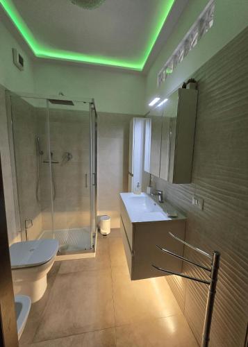 a bathroom with a shower and a sink and a toilet at Giopi Home in Vitinia