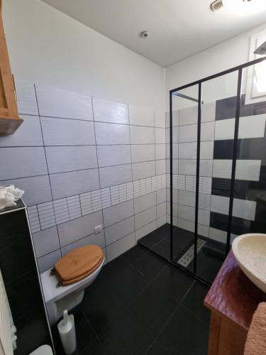 une salle de bain avec une douche avec des toilettes et un lavabo dans l'établissement Loft studio avec mezzanine, limitrophe Monaco, à Roquebrune-Cap-Martin