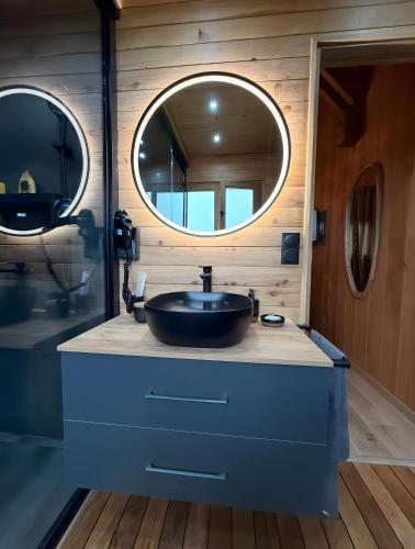 a bathroom with a sink and a mirror at Chalet Des Charmes in Thollon