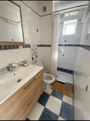 une salle de bain avec un lavabo, des toilettes et une douche dans l'établissement Studio toit terrasse, à La Grande Motte