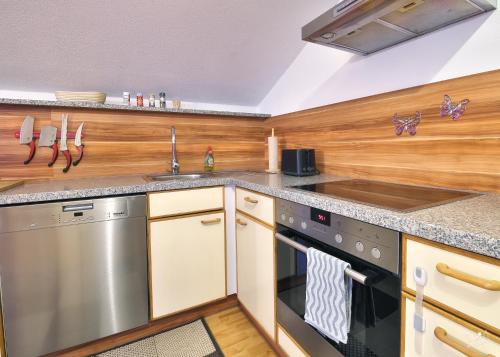 a kitchen with a sink and a dishwasher at Familienappartement Seppenbauer in Bad Ischl