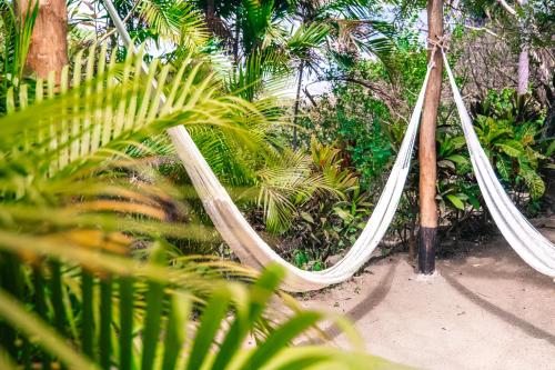 Haramara Retreatにある庭