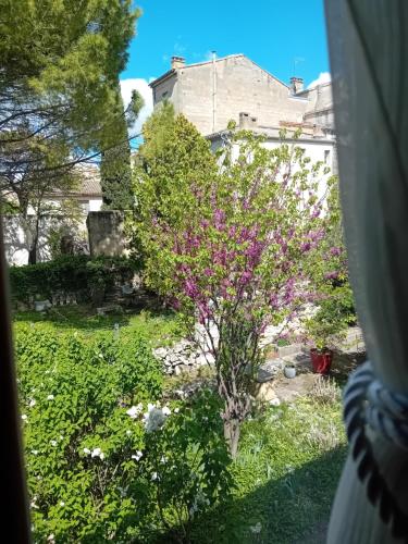 un arbre avec des fleurs violettes dans une cour dans l'établissement Studio centre-ville, à Uzès