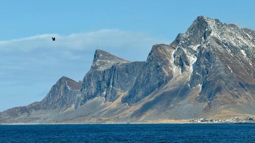 a helicopter flying over the water with a mountain at Spacious, modern cabin Ramberg Lofoten in Ramberg