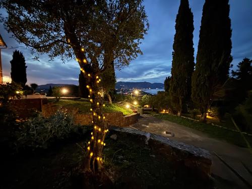 a tree with lights on it at night at Athinas House in Corfu Town