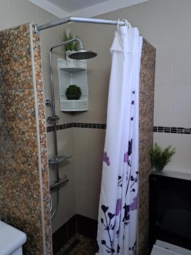 Ένα μπάνιο στο APARTMANI I SOBA ROBERTO I MIRJANA
