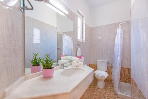 a bathroom with a sink and a toilet and a shower at Hidden Garden in Afantou