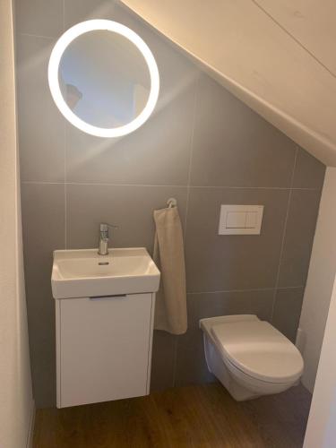 a bathroom with a toilet and a sink and a mirror at Vacances alliant confort et quiétude en pleine nature ! in Echallens