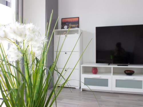 TV a/nebo společenská místnost v ubytování Apartmani RiA