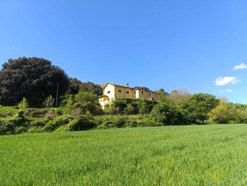 a house on top of a green field at Mas Pitre in Besalú