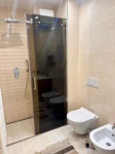 a bathroom with a shower and a toilet and a sink at Tirana Lake Spacious Apartment in Sauk