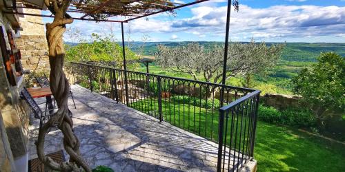 Studio Apartment Belvedere