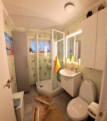 a bathroom with a shower and a toilet and a sink at Gjesterom til leie i et privat hus 250 moh in Brumunddalen