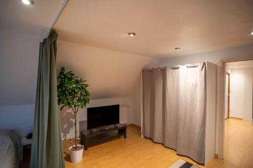 a living room with a television and a potted plant at Bollwiller Modern Loft with Pool and Gym in Bollwiller