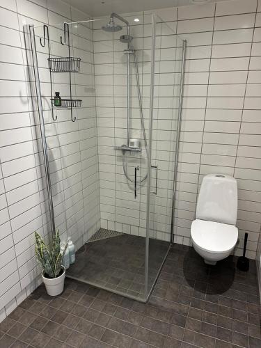 a bathroom with a shower and a toilet at Sentrumsnær leilighet i Bodø in Bodø