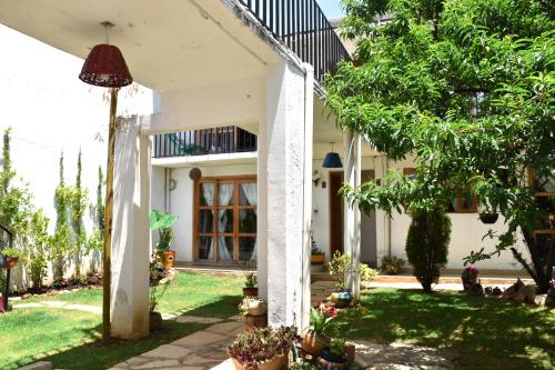 a courtyard of a house with trees and plants at Gaia Guest House in San Cristóbal de Las Casas