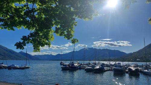 a bunch of boats are docked in the water at Casa celeste, stanza in appartamento condiviso in Minusio