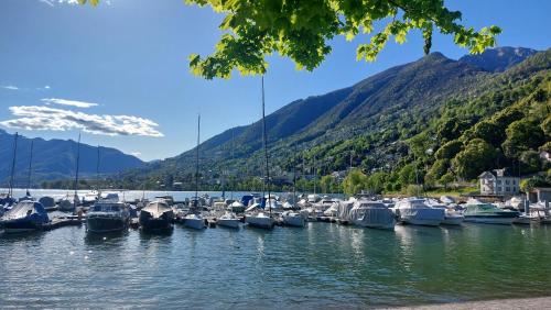 a bunch of boats are docked in the water at Casa celeste, stanza in appartamento condiviso in Minusio