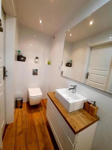 a bathroom with a white sink and a toilet at Dom Nad Jeziorem z Jacuzzi in Mrągowo