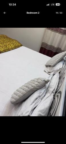 a picture of a bed with two pillows on it at Lovely 2 Bedroom Furnished Apartments in Multan