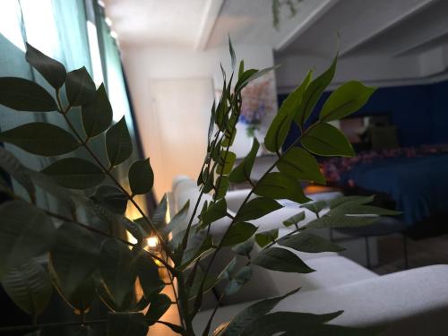 a green plant in a room with a couch at Atlantis Apartment in Greifswald