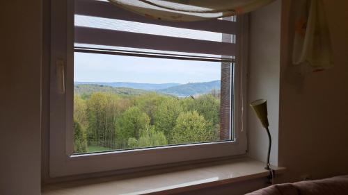 a window with a view of a mountain view at Liść Klonu in Polańczyk
