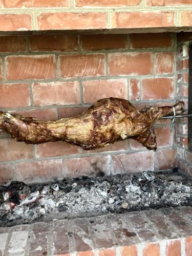 a dead animal laying on the side of a brick wall at Voyage House in the countryside Polen in Korçë