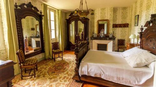 Pontenx-les-ForgesにあるGrande demeure familialeのベッドルーム(ベッド1台、暖炉、鏡付)