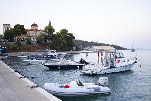 a group of boats in the water near a dock at Villa Arian mit tollem Meeresblick und Luxusausstattung in Gialasi in Ancient Epidavros