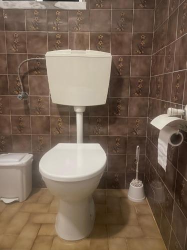 a bathroom with a white toilet in a room at Quinta Pura Natura in Alqueidão de Santo Amaro