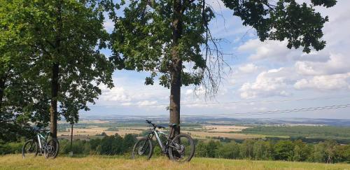 two bikes parked next to trees on a hill at Złoty Trakt pokoje i rowery in Złoty Stok