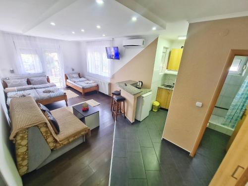 Køkken eller tekøkken på Vila Aleksandra 1 Sokobanja