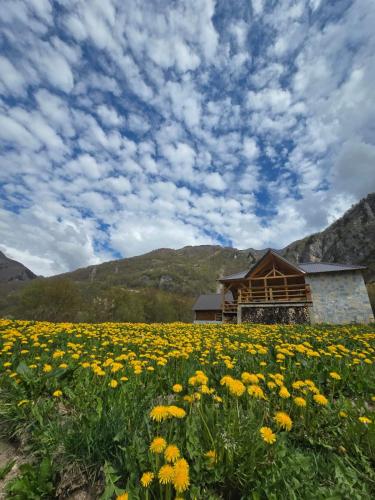 a field of yellow flowers in front of a building at ETHNO STAR Bojović in Gusinje