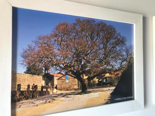 Φωτογραφία από το άλμπουμ του Carballo de Cereixo - Solo con seña σε Federación