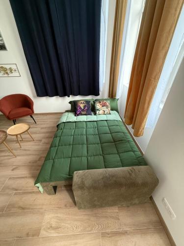 a green bed in a room with a window at Grand F2 centre-ville, parking privée in Auxerre