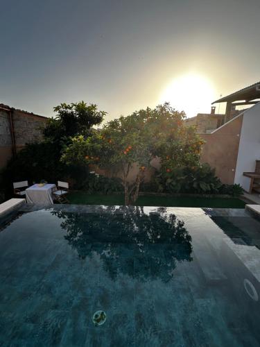 a swimming pool in the backyard of a house at Can Vilàs in Muro
