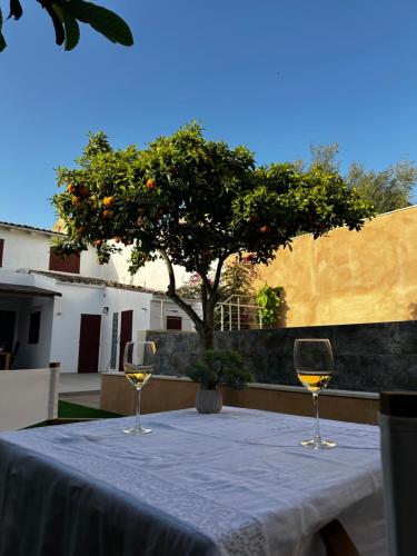 a table with two glasses of white wine on it at Can Vilàs in Muro