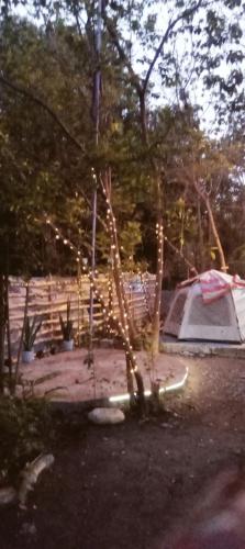 a tent and a tree with lights in front of it at SECLUDED GLAMPING YOGA SAMADHI fan 2 kubos 8 pax in Rimus