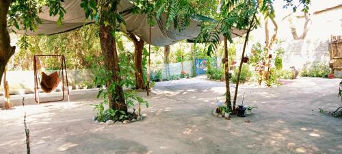 a group of trees in a courtyard with a tent at SECLUDED GLAMPING YOGA SAMADHI fan 2 kubos 8 pax in Rimus