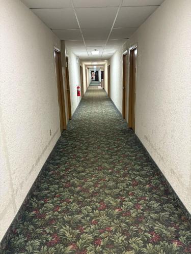 an empty hallway in an office building with a carpet at Maple Creek Motor Inn in Maple Creek