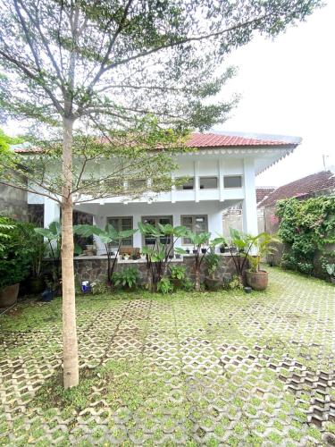 a tree in the yard of a house at Kosasih 1919 A Dutch-Retro House in Banyuwangi