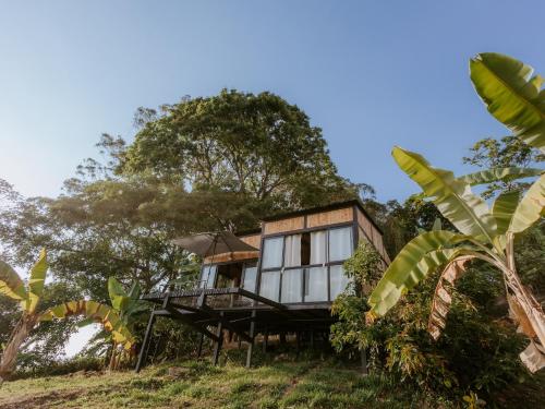 a house on top of a hill with trees at Copoazú Glamping in Floridablanca