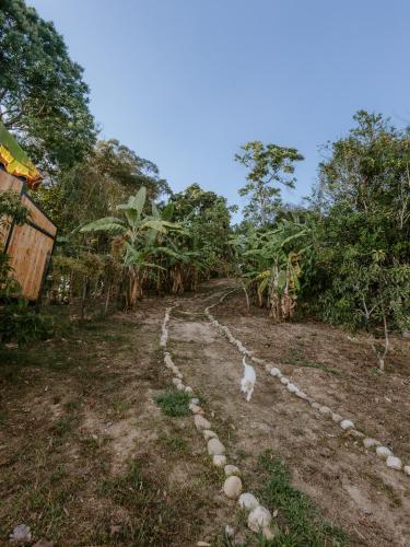 a white cat walking down a stone path at Copoazú Glamping in Floridablanca