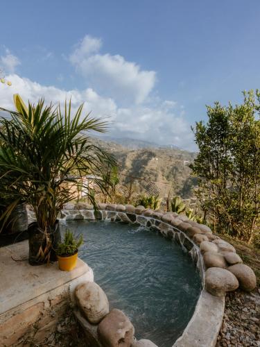 a pool of water with a palm tree next to it at Copoazú Glamping in Floridablanca