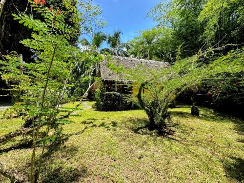 Zahrada ubytování Alby Lodge Cahuita