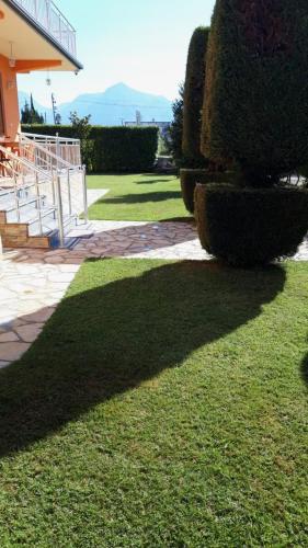 a shadow of a bush on the grass at Demaj House in Grilë
