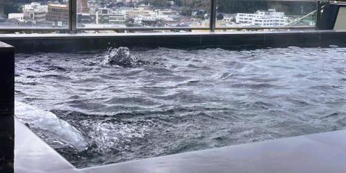 a pool of water with a dolphin in it at Kishotei in Hirado
