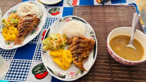 Comida en el campamento o alrededores