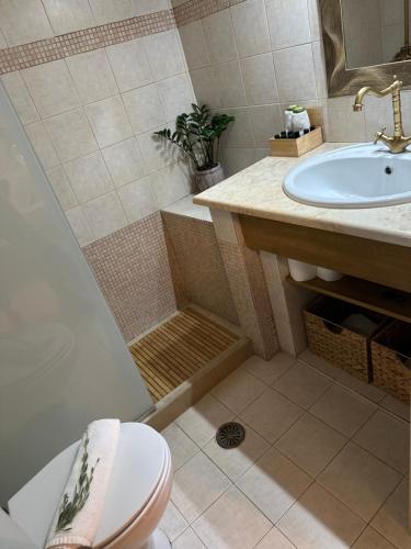 a bathroom with a shower and a toilet and a sink at MATALA * LUX CAVE in Matala