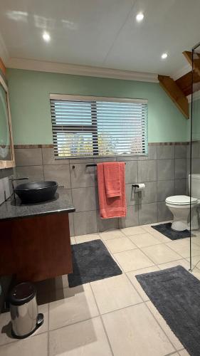 a bathroom with a sink and a toilet at Camdeboo Place in Dullstroom